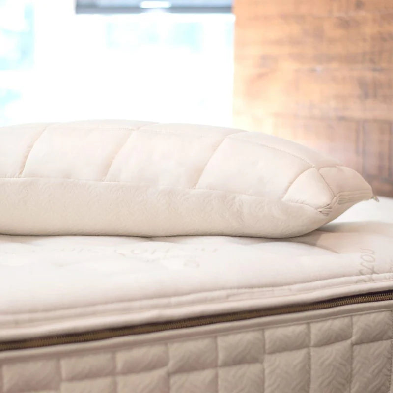 ORGANIC ADJUSTABLE LATEX 2 IN 1 PILLOW